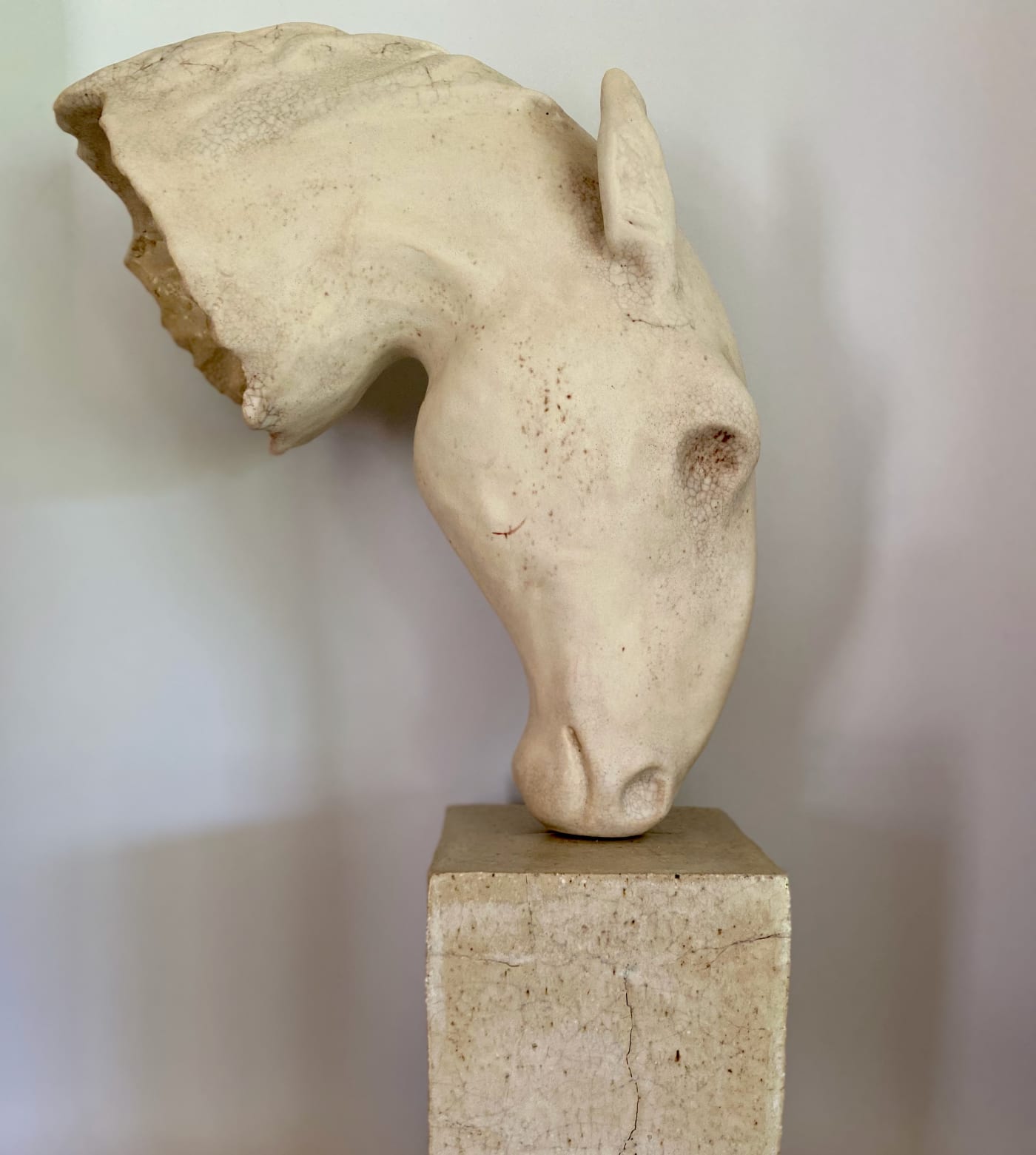 Jennie McCall, Leo