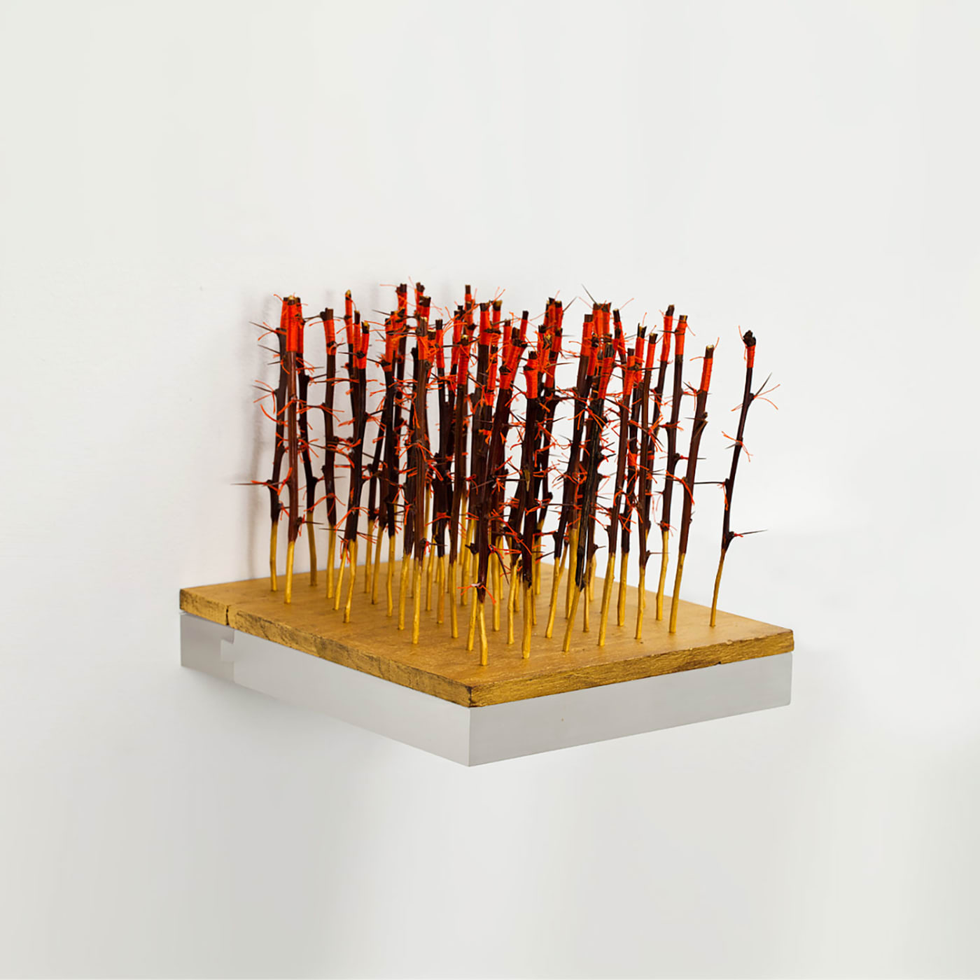 Jin-Sook So, Forest I, 2010