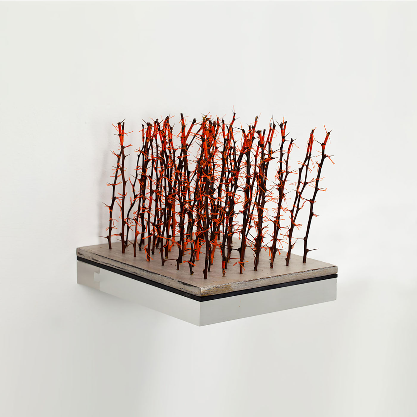 Jin-Sook So, Forest II, 2010