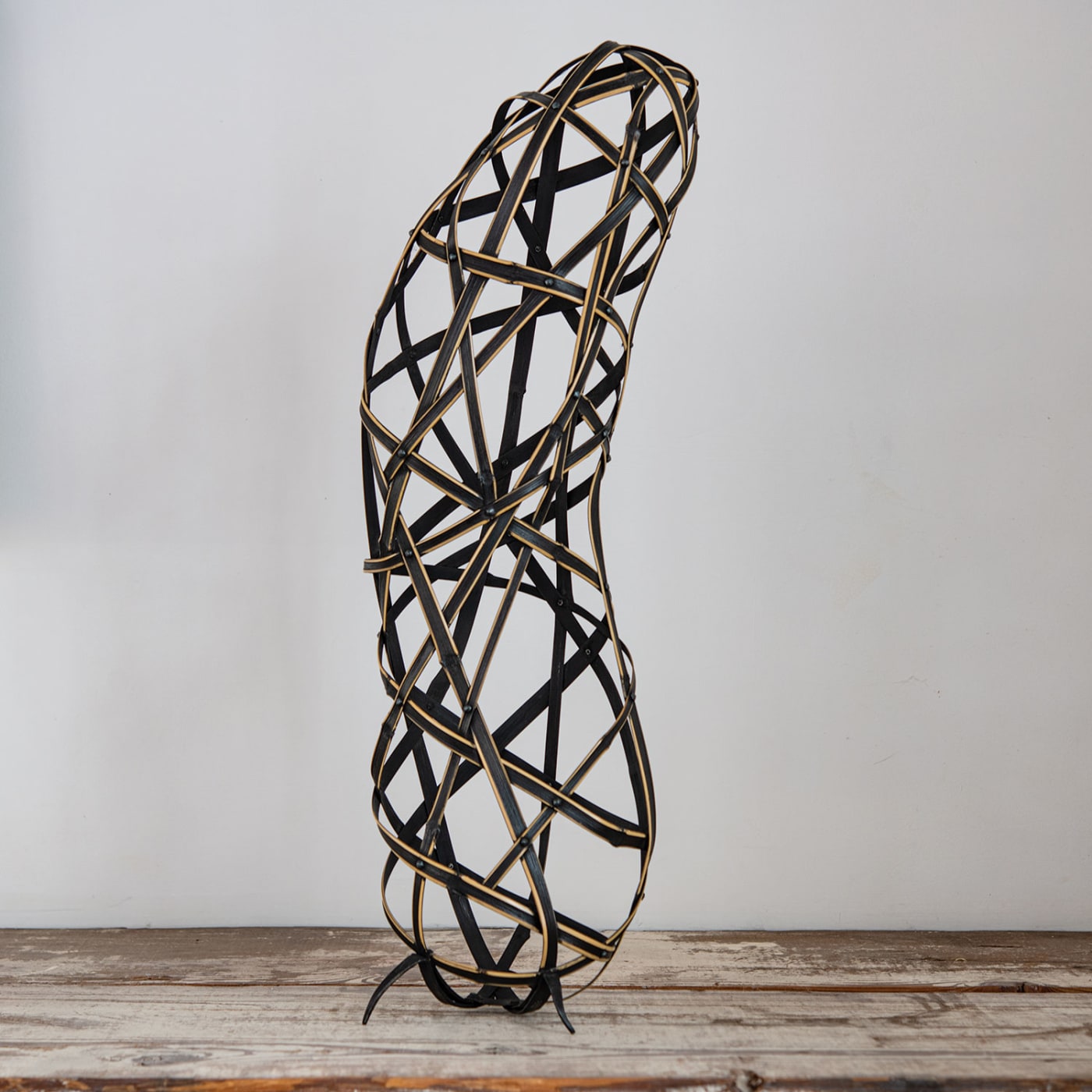 Jiro Yonezawa, Ecdysis, 2019