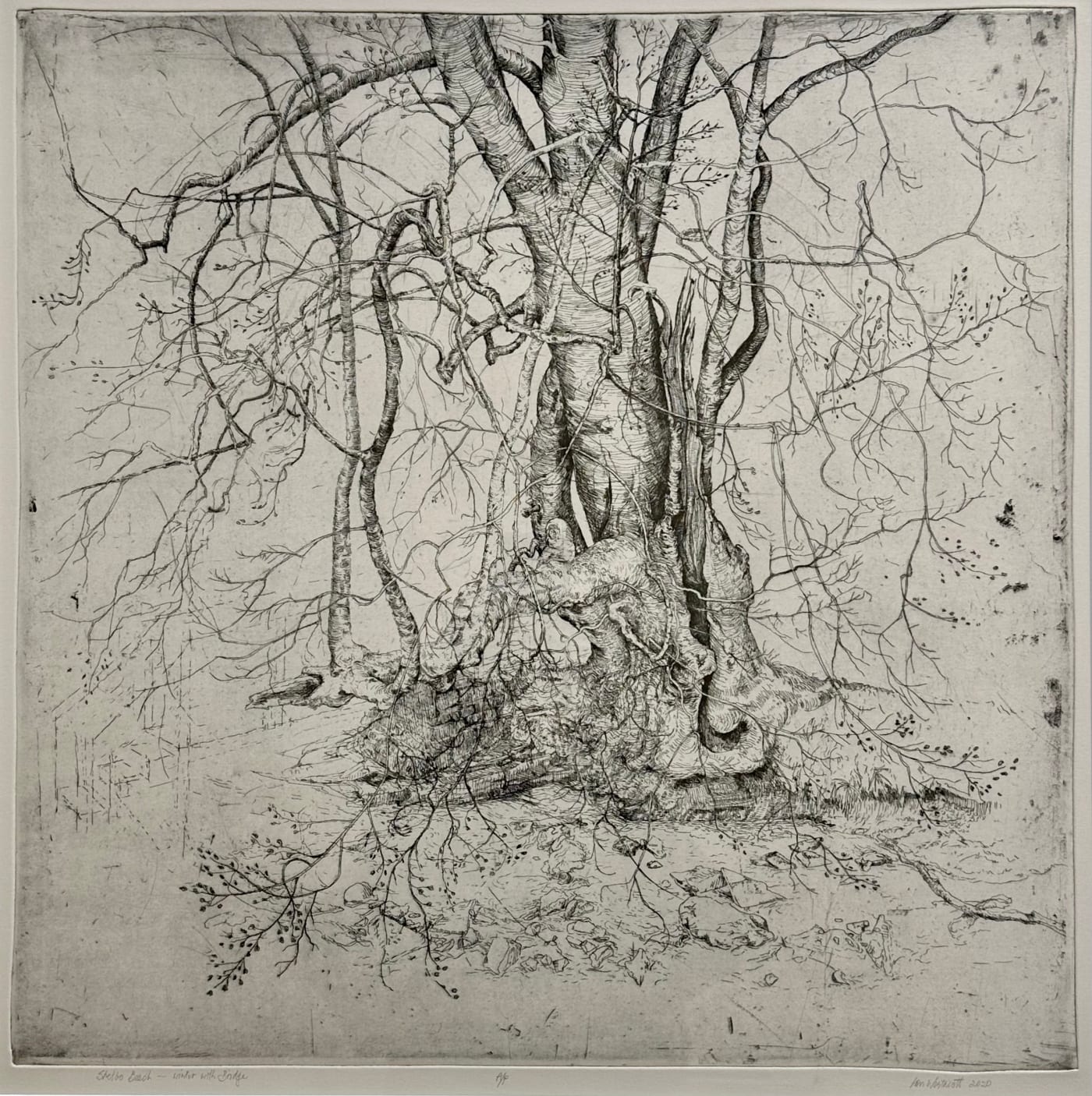 Ian Westacott, Skelbo Beech - Winter with Bridge, 2020