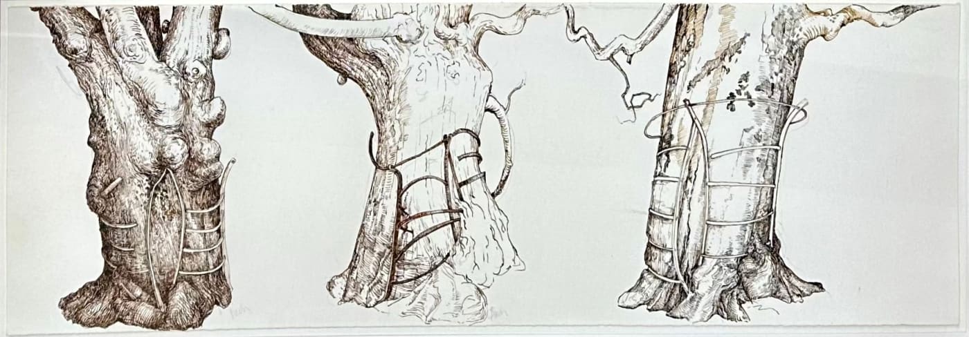 Ian Westacott, Gusichan Trees II