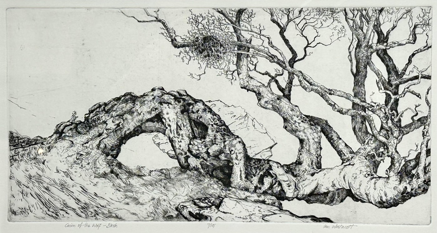 Ian Westacott, Cairn of the Wolf - Birch