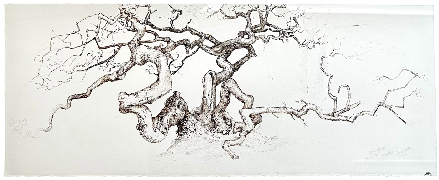Ian Westacott, Shoreline Dornoch Firth, 2012