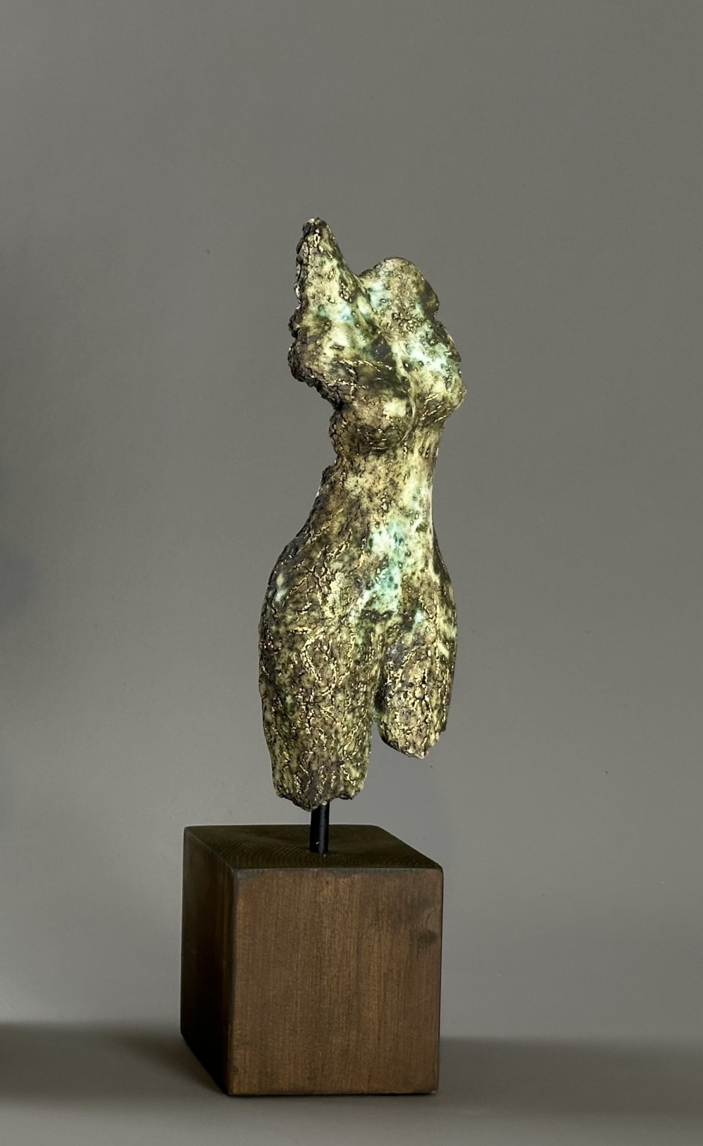 Ferri Farahmandi, Small Torso - Front, 2025