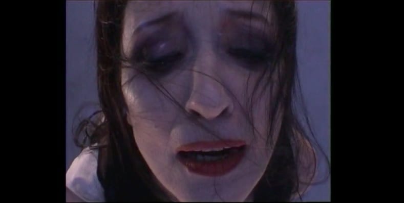 Katarzyna Kozyra, Faces 脸, 2005-2006