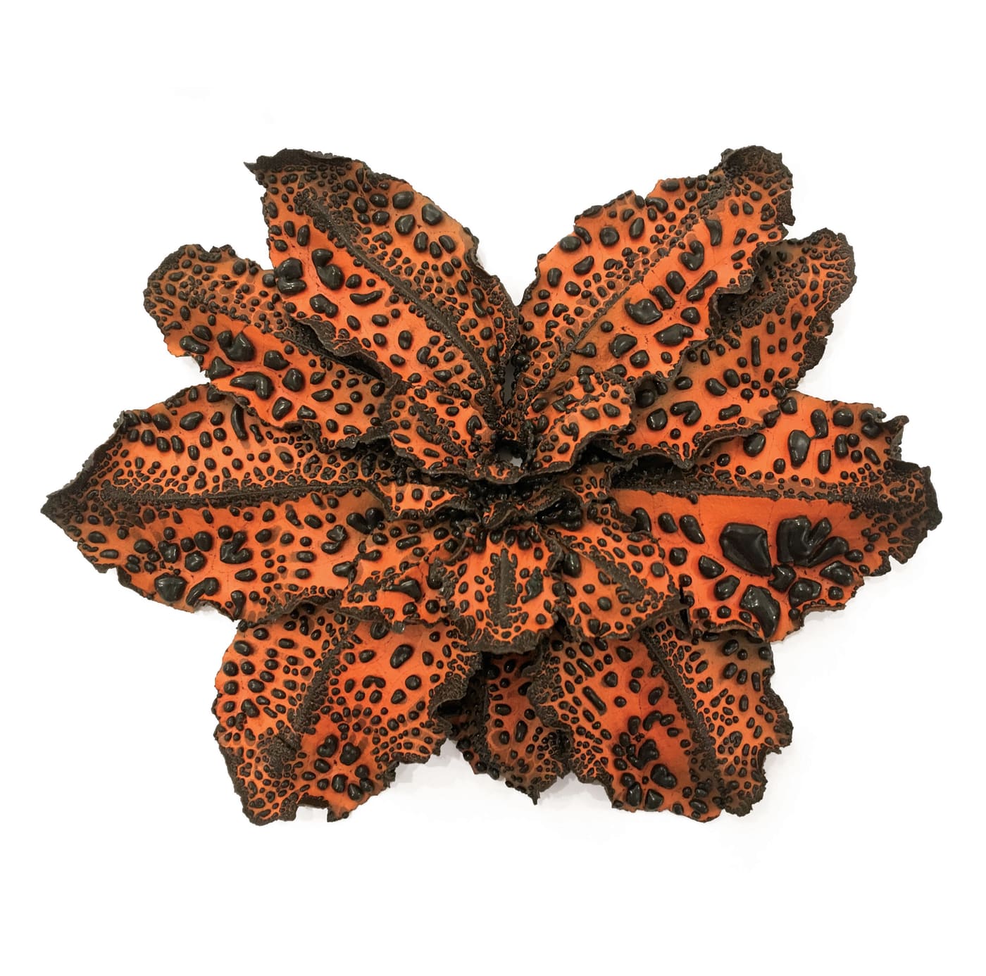 Christopher Adams, Primordial Garden C6, 2015