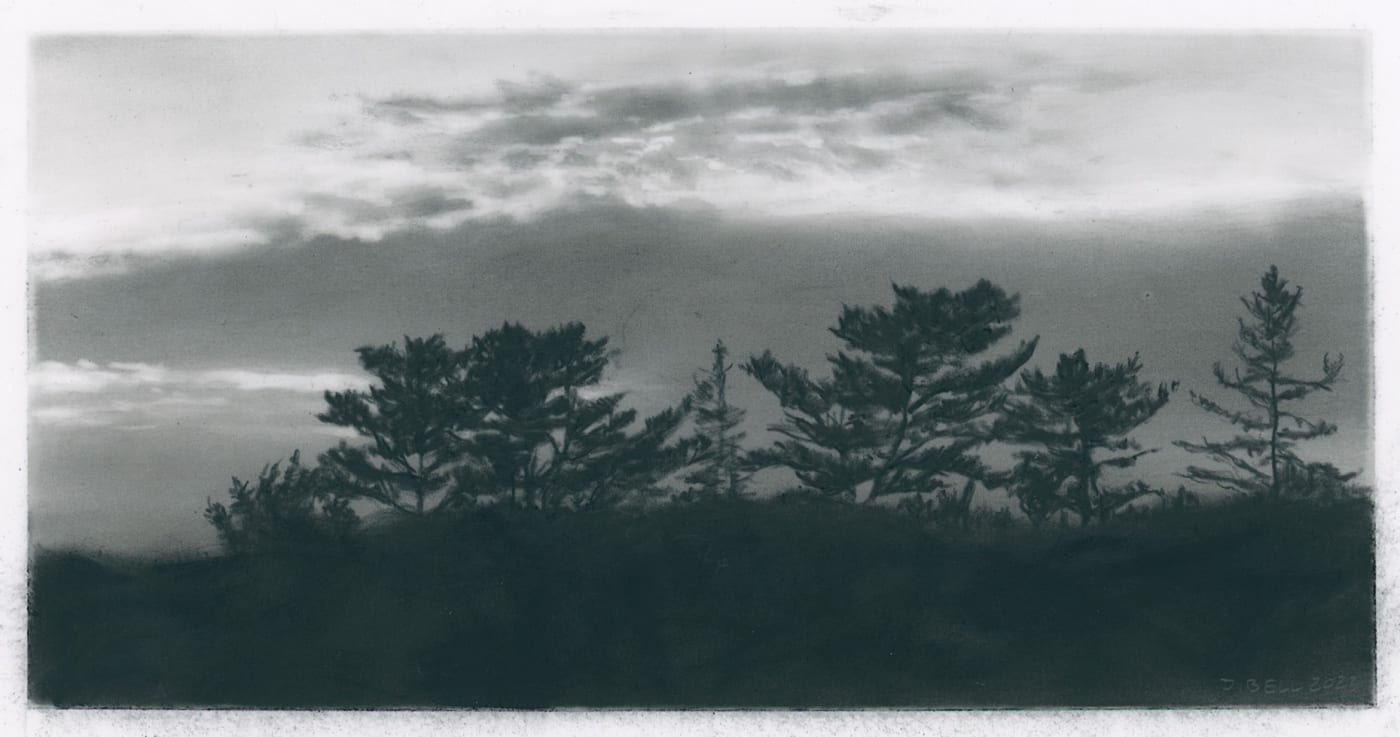 Dozier Bell, Pines near the river, 2022