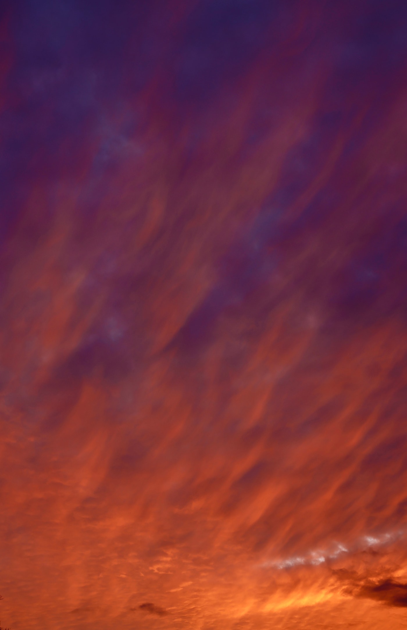 Celestial Puffs 5