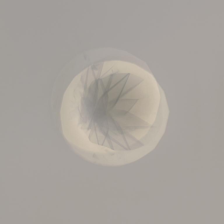 Jessica Rayner, Untitled II (sun capture, 9th Aug, 12 o’clock, 20 minutes, gentle wind), 2016