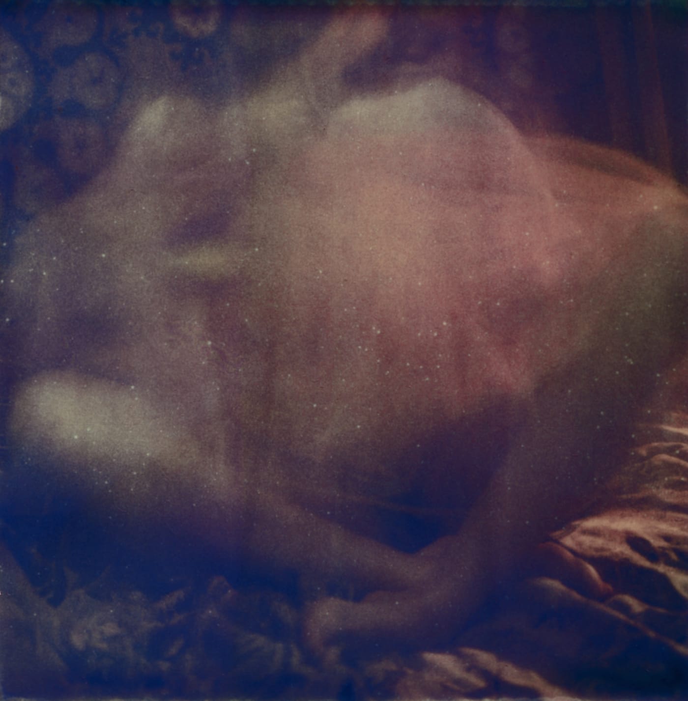 Wendy bevan, Flower 2R