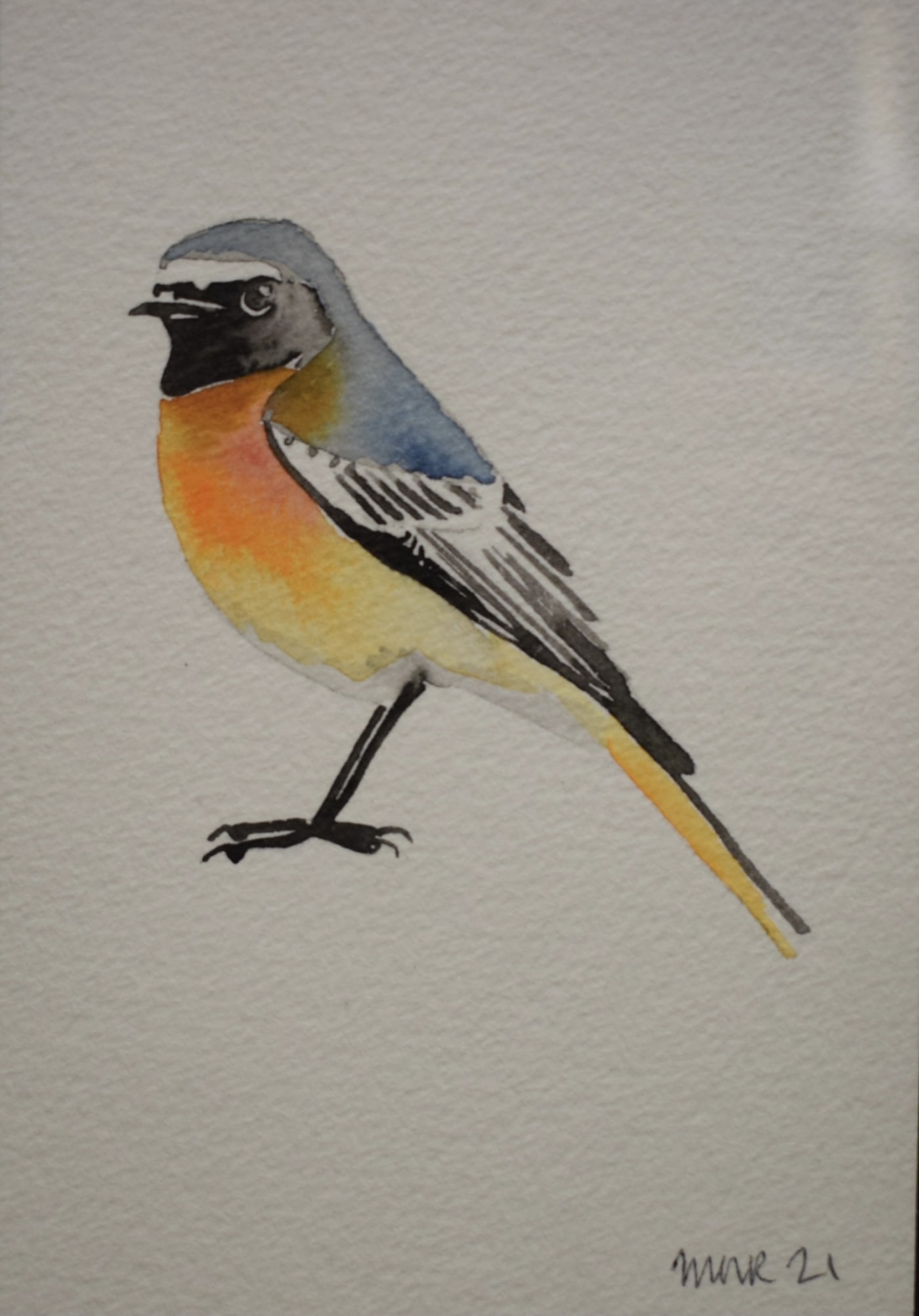 Jim Moir, Redstart