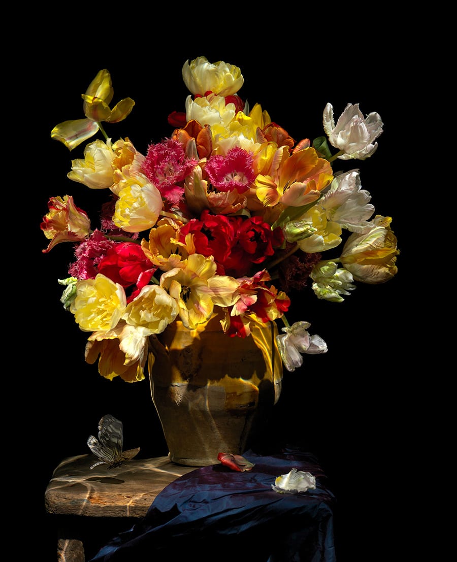 Alexander James Hamilton, Grace, 2010