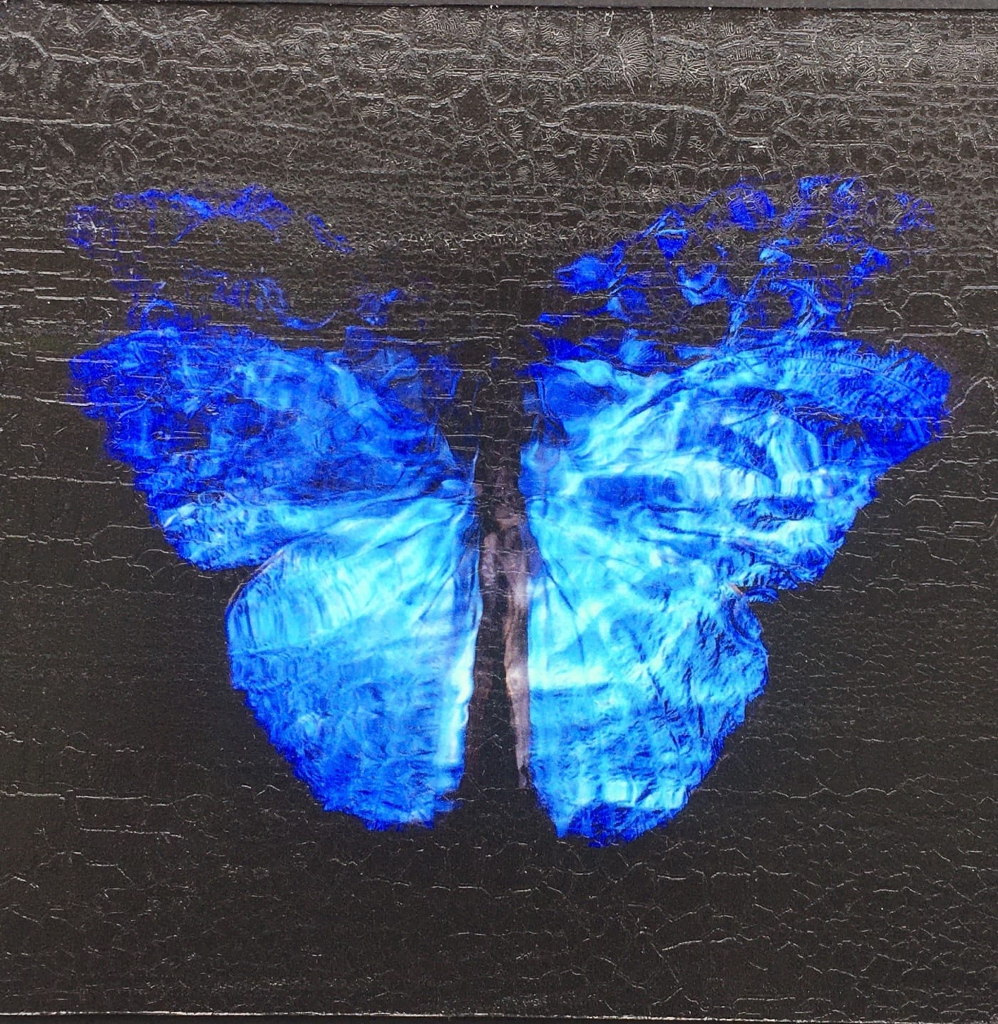 Alexander James Hamilton, Transparency of a Dream [2.0-III], 2019