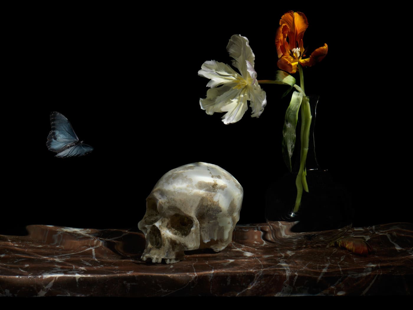 Alexander James Hamilton, The Great Leveller, 2010