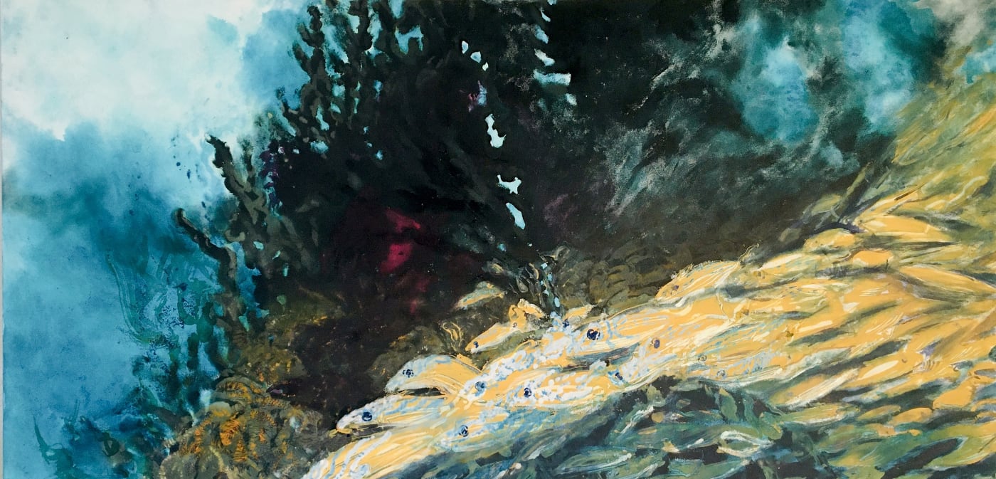 Krisanne Baker, Siesta