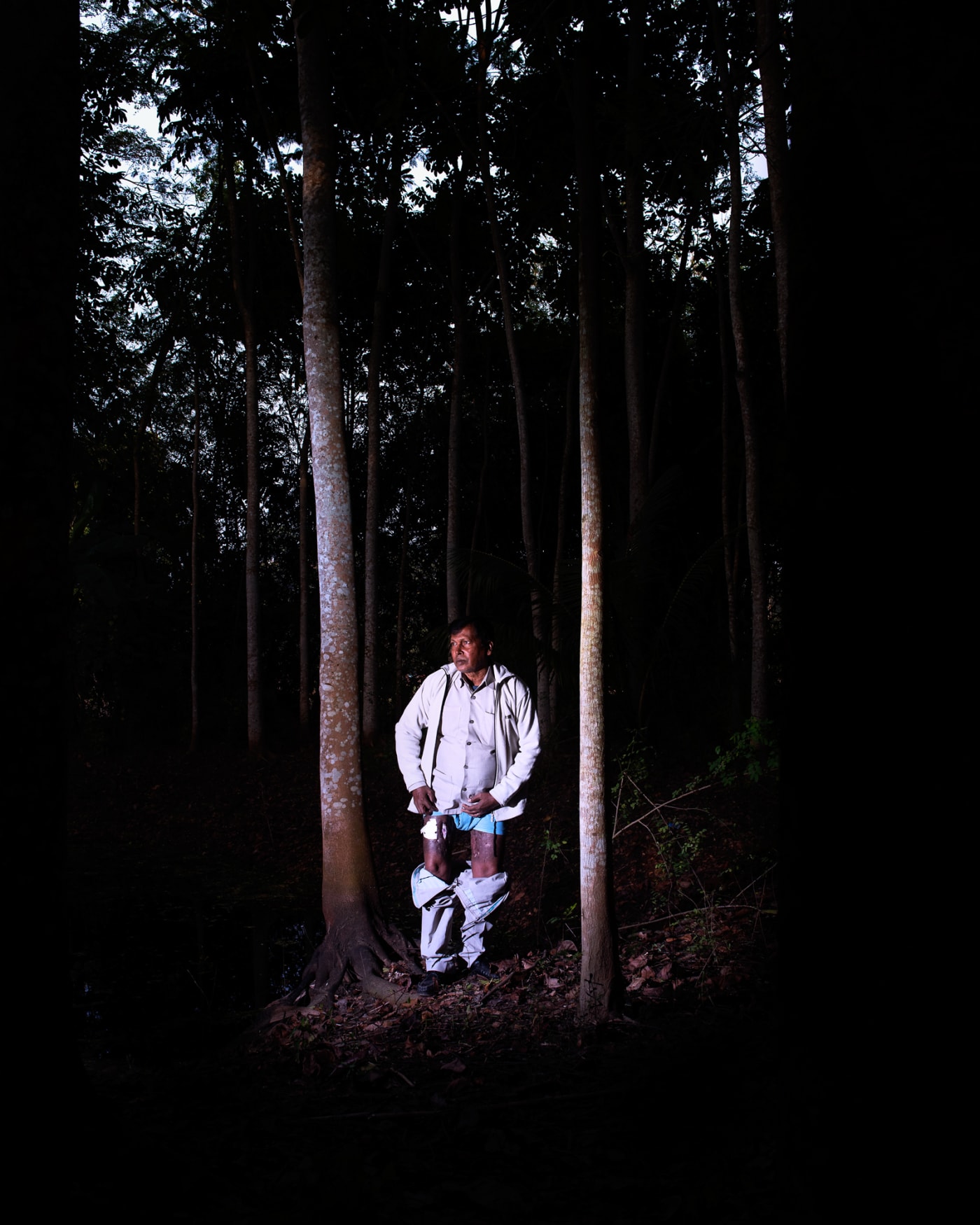 Soumya Sankar Bose, Where the Birds Never Sign, 2017-2020