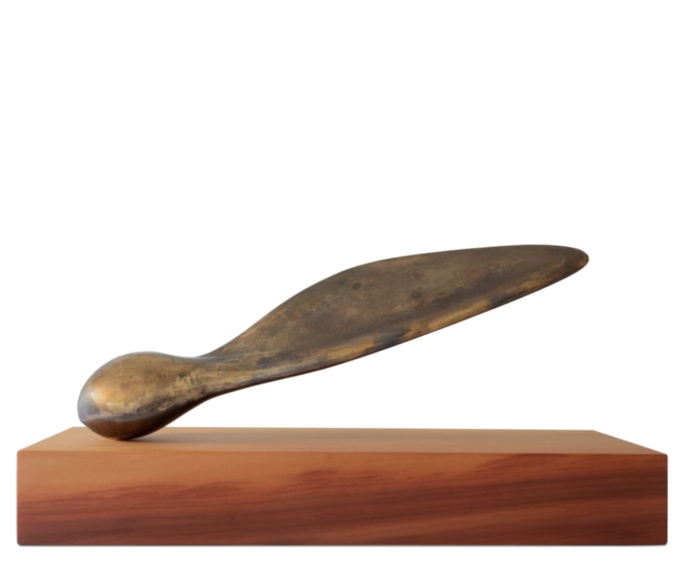 Paul Diestel, pas seul, 2022