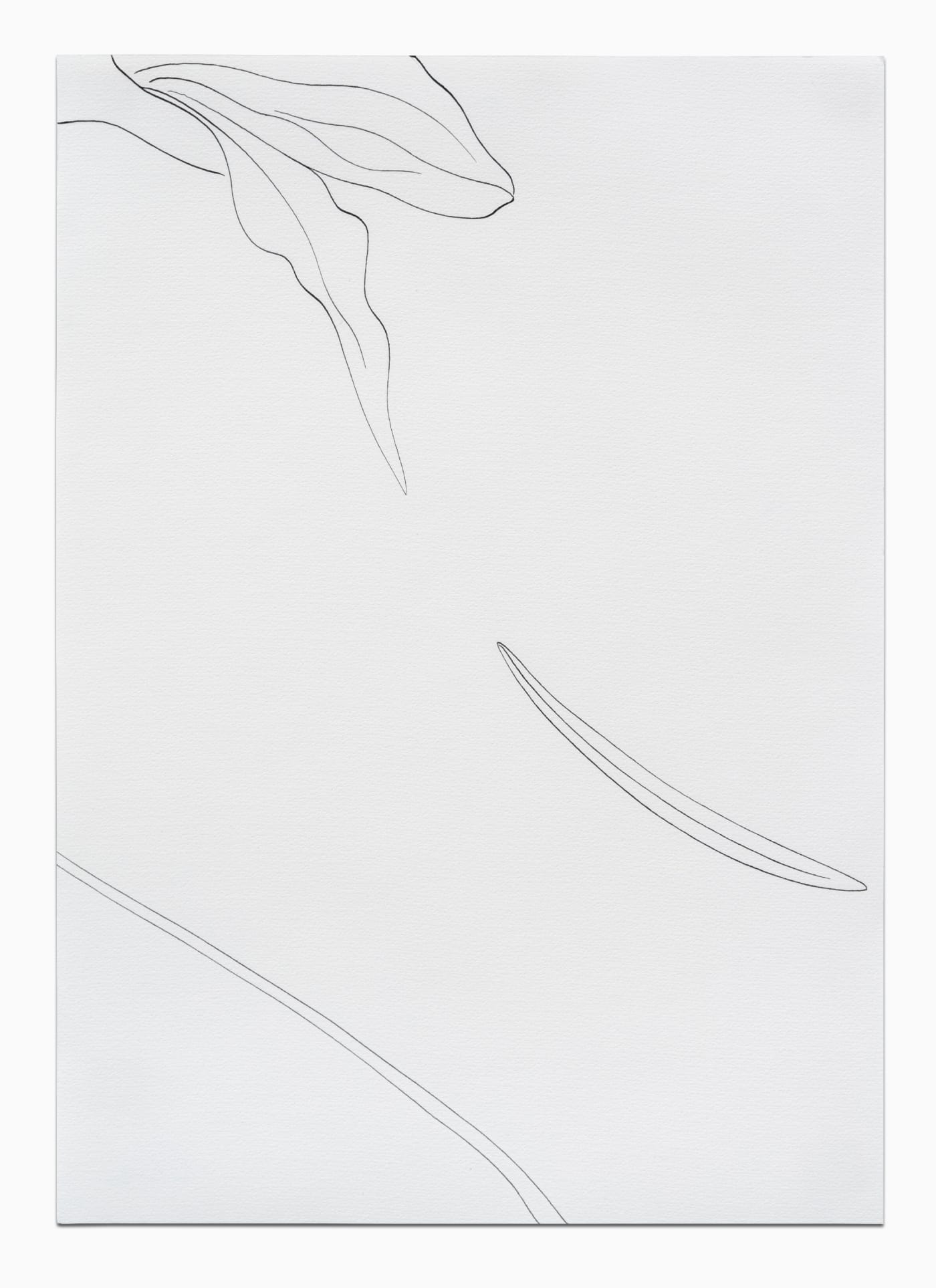 CAROLINE CORBASSON, Esquisses , 2020