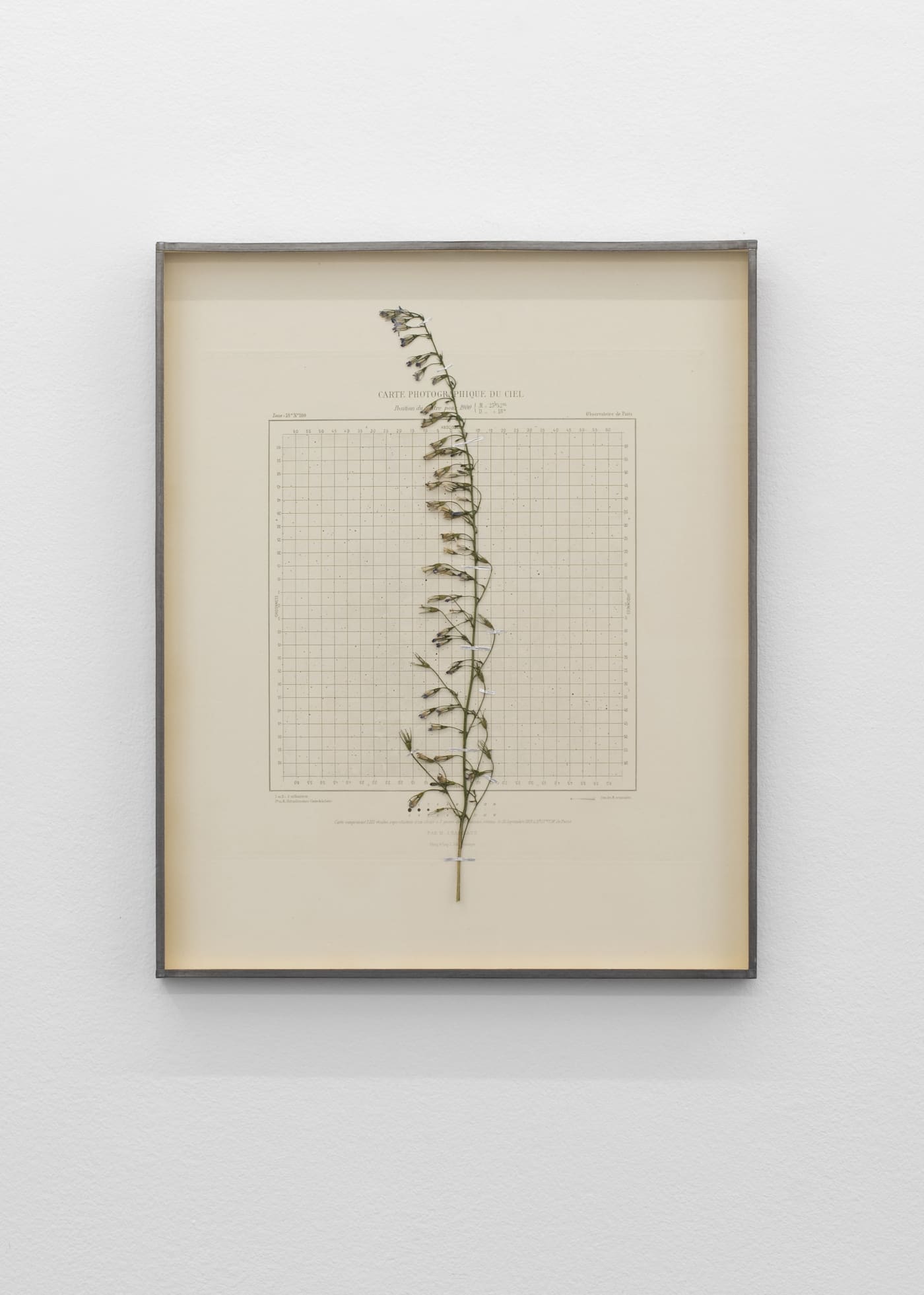 CAROLINE CORBASSON, Starlight I, 2020