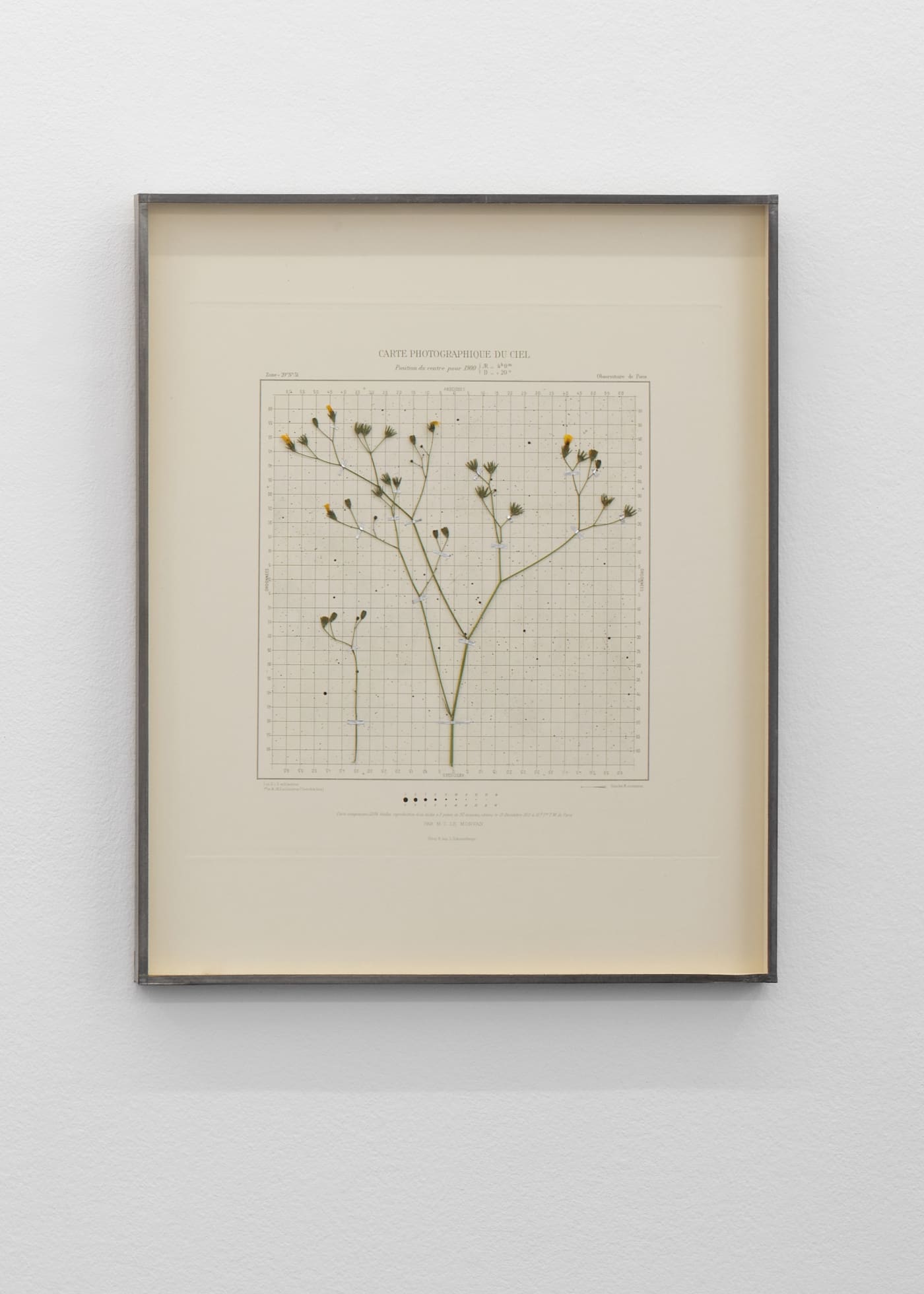 CAROLINE CORBASSON, Starlight II, 2020