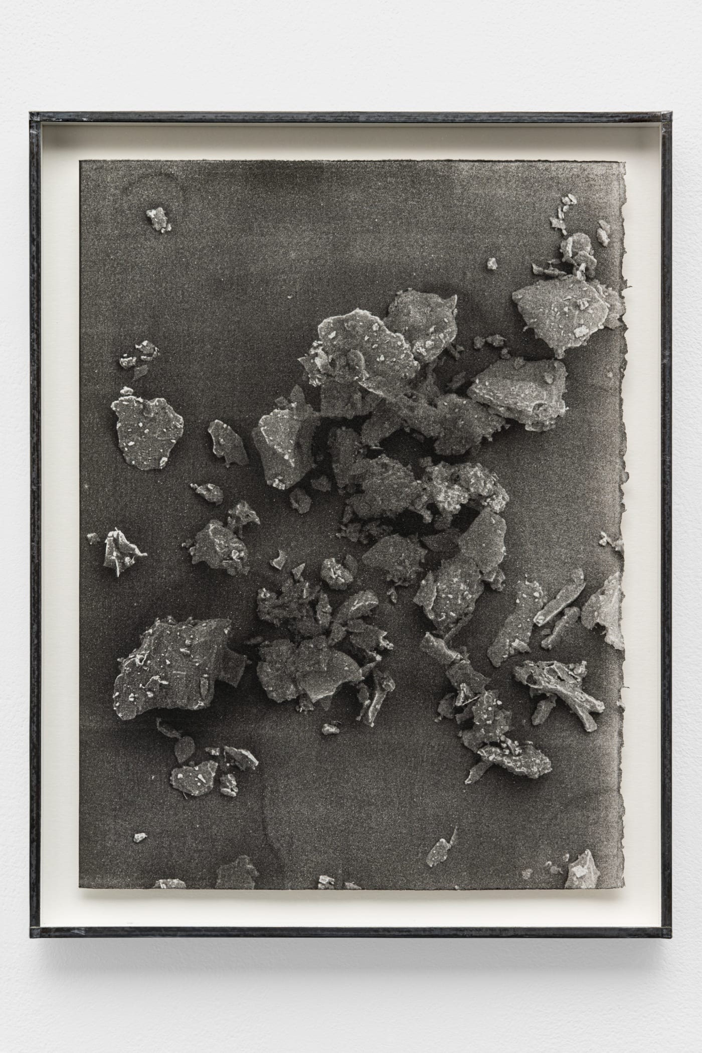 CAROLINE CORBASSON, Fields, 2017