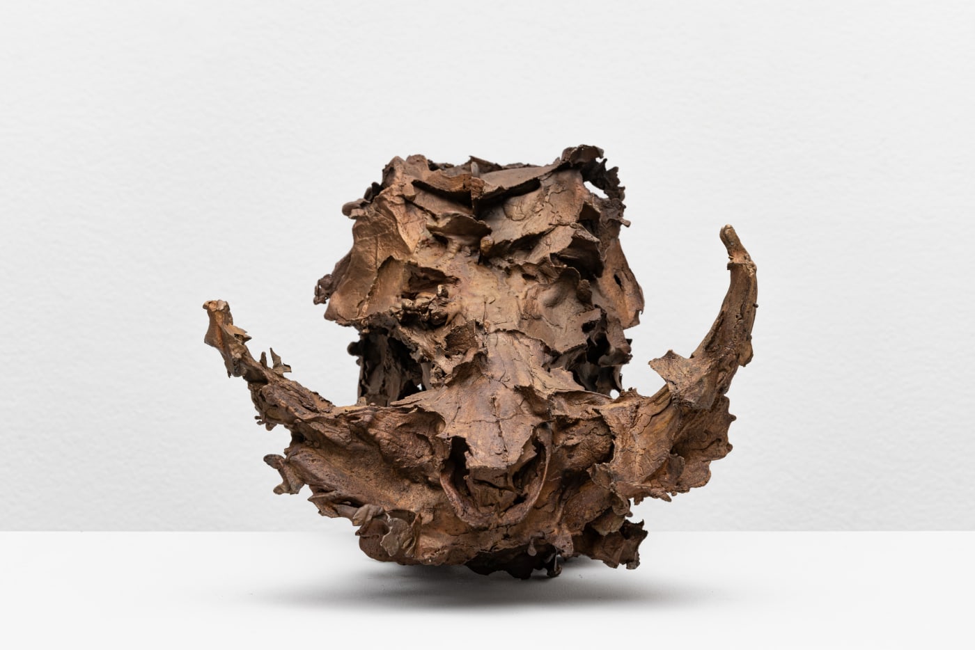 CHRISTIAN GONZENBACH, Die Wilde Jagd (Phacochoerus), 2020