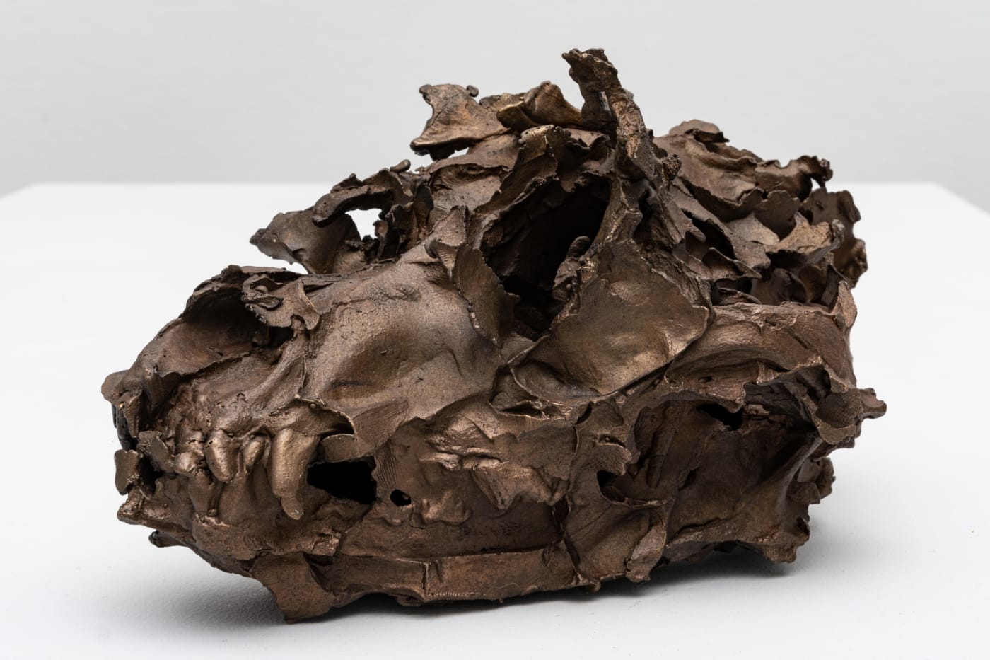 CHRISTIAN GONZENBACH, Die Wilde Jagd (Canis lupus familiaris), 2020