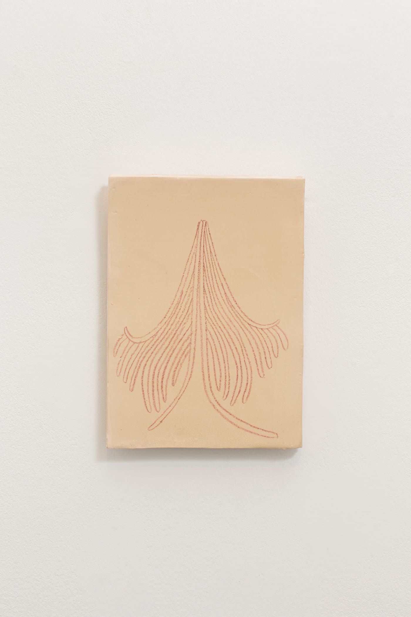 SELINA BAUMANN, Aktinia, 2021
