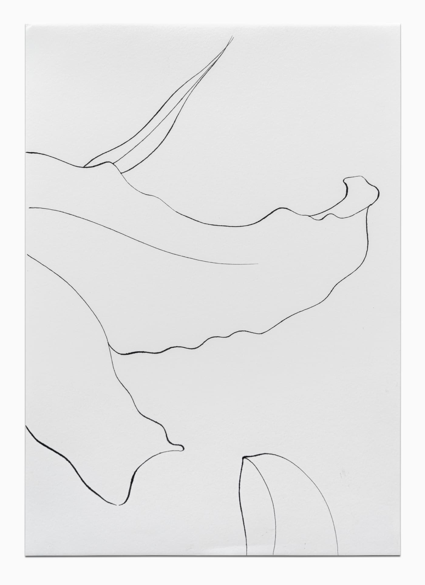 CAROLINE CORBASSON, Esquisses , 2020