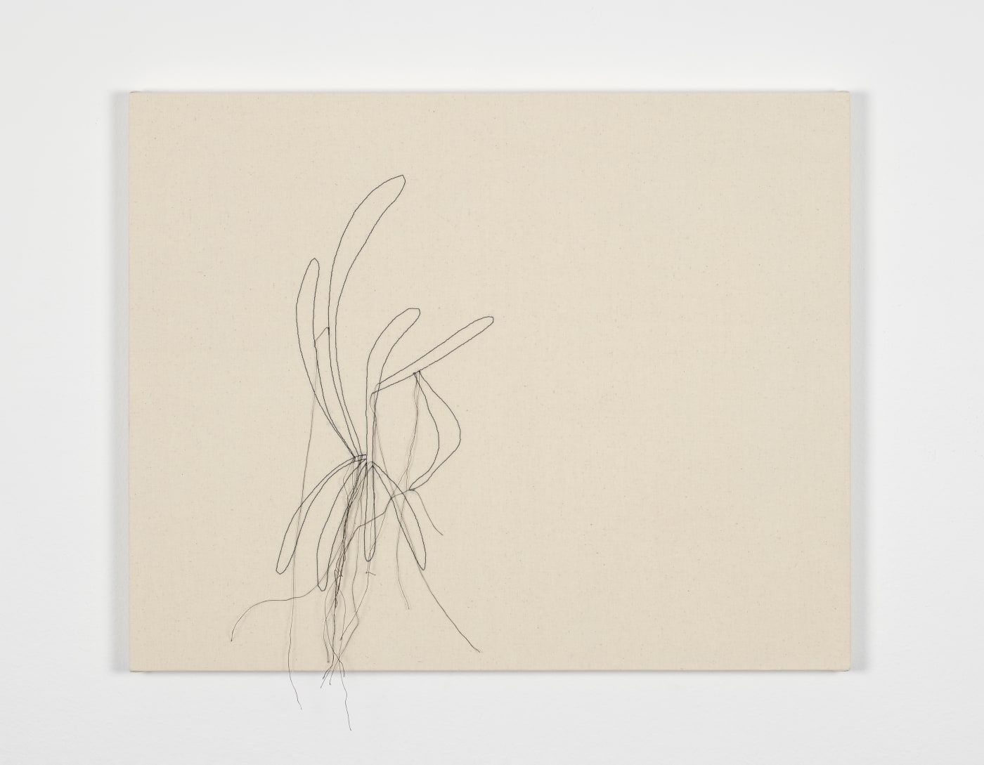 SELINA BAUMANN, Untitled, 2020