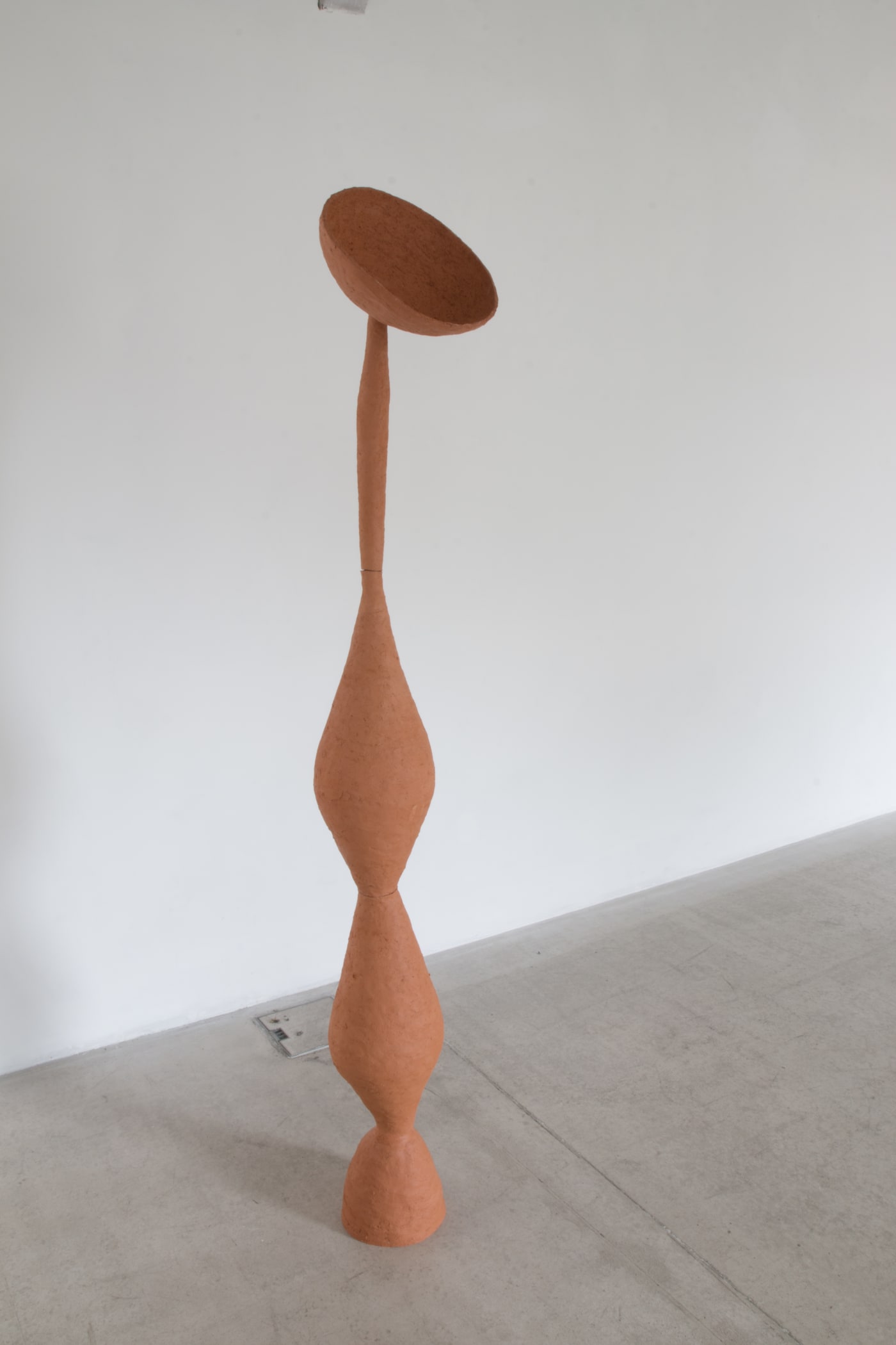 SELINA BAUMANN, Holo, 2019