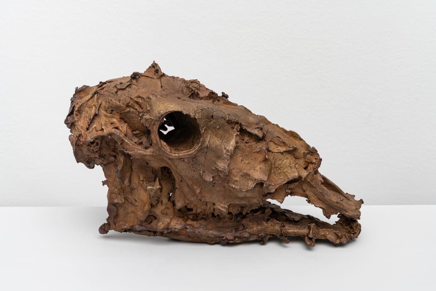 CHRISTIAN GONZENBACH, Die Wilde Jagd (Antilocapra), 2020