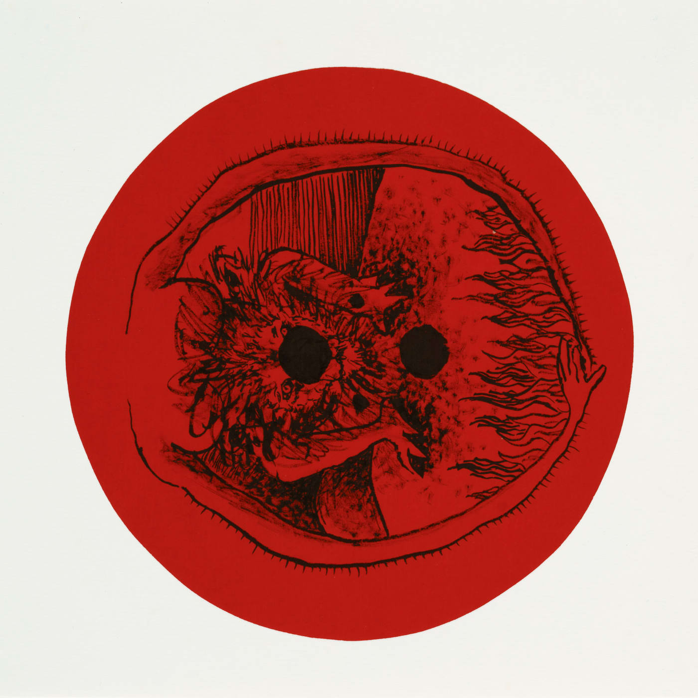 Sandrine Llouquet, Mandragora officinarum, 2018