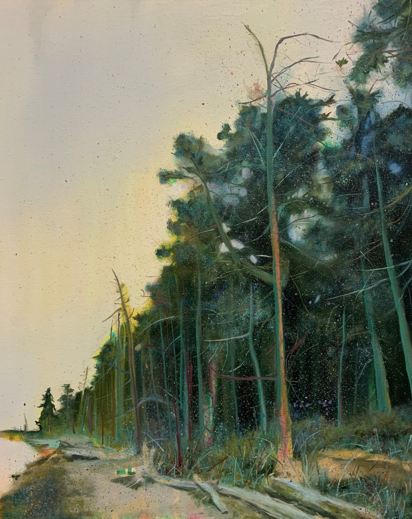 Christopher Friesen, Rathtrevor Up Beach