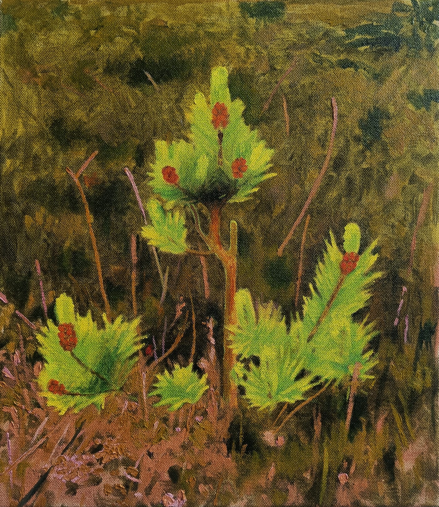 Fanny Arnesen, Whispers IV