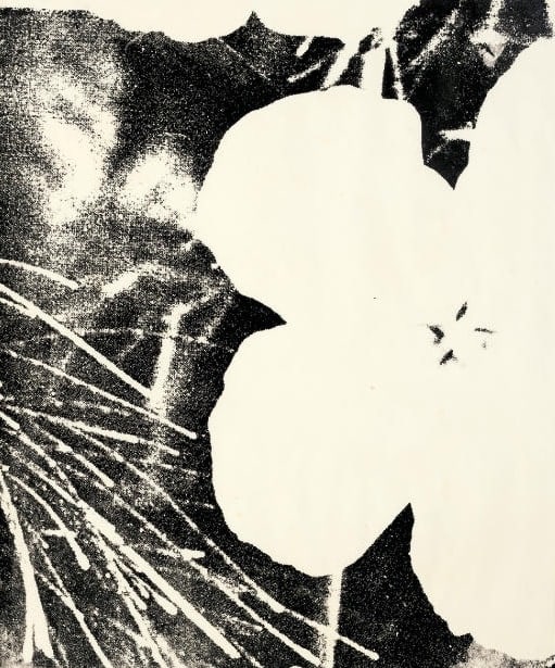 Andy Warhol, Flowers F.S. IIIA 14 (C) , 1978