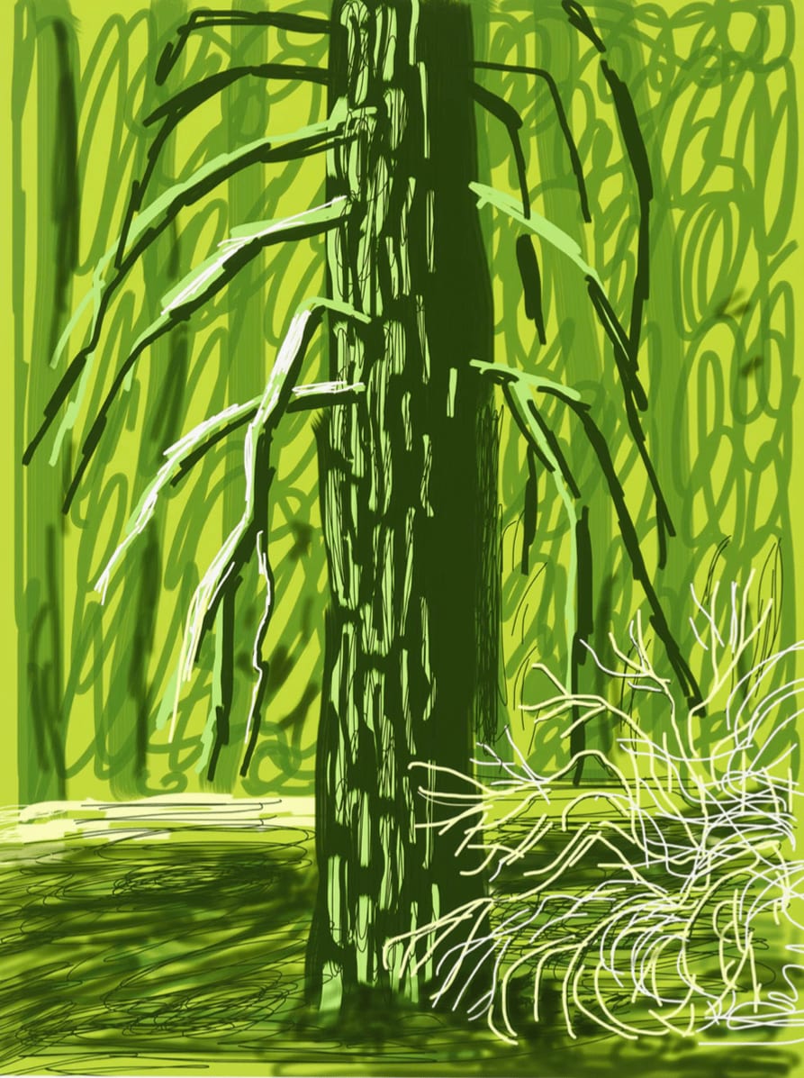 David Hockney, The Yosemite Suite No. 18, 2010