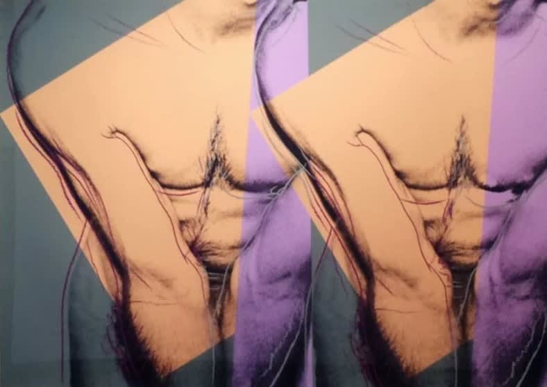 Andy Warhol, Torso (Double) F.S. IIIA 35 , 1982