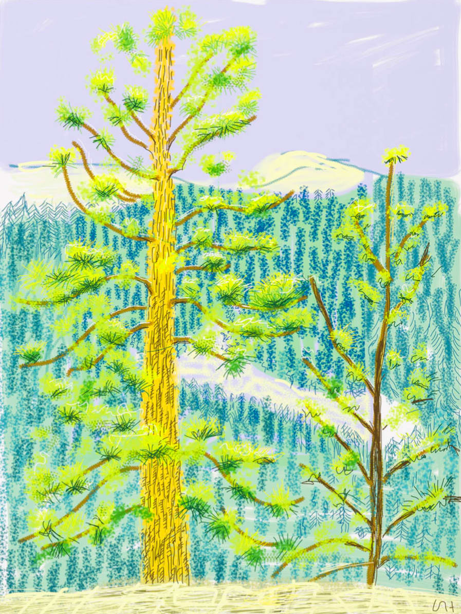 David Hockney, The Yosemite Suite No. 8, 2010