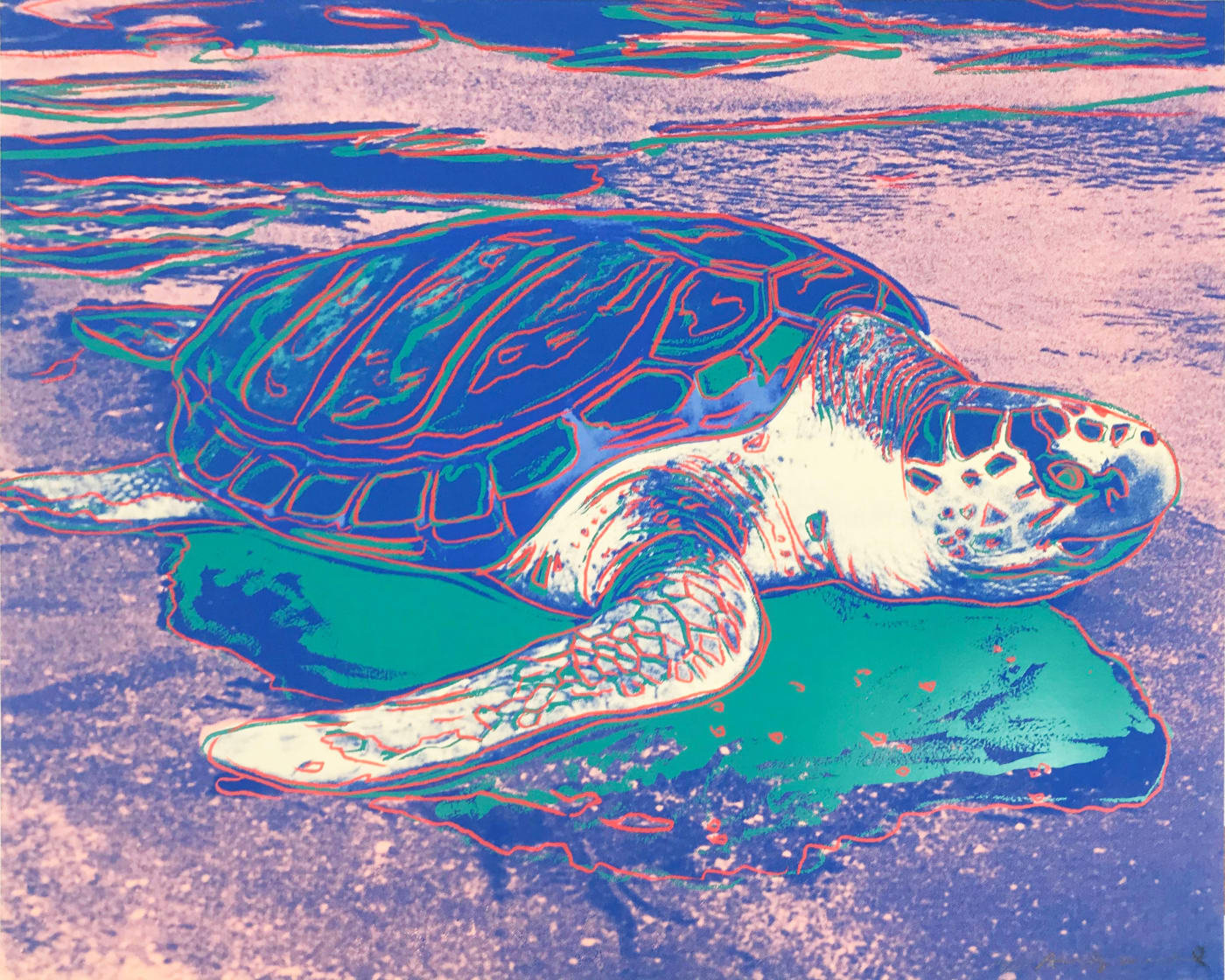 Andy Warhol, Turtle F.S. II 360A, 1985
