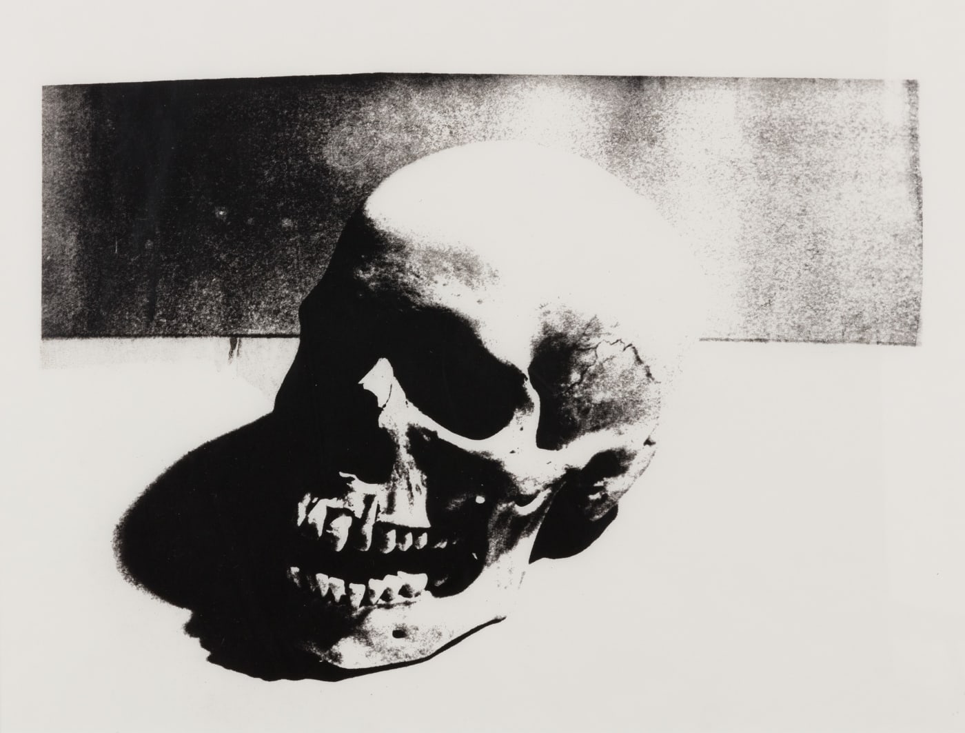 Andy Warhol, Skull F.S. IIIA 1 (A), 1976