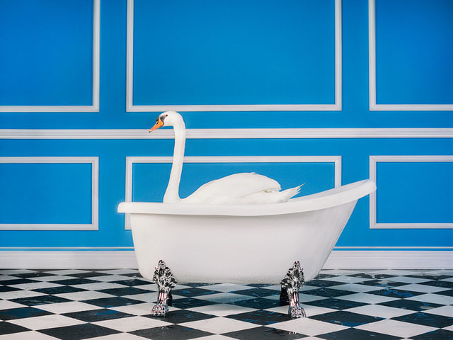 Tyler Shields, The Swan, 2020