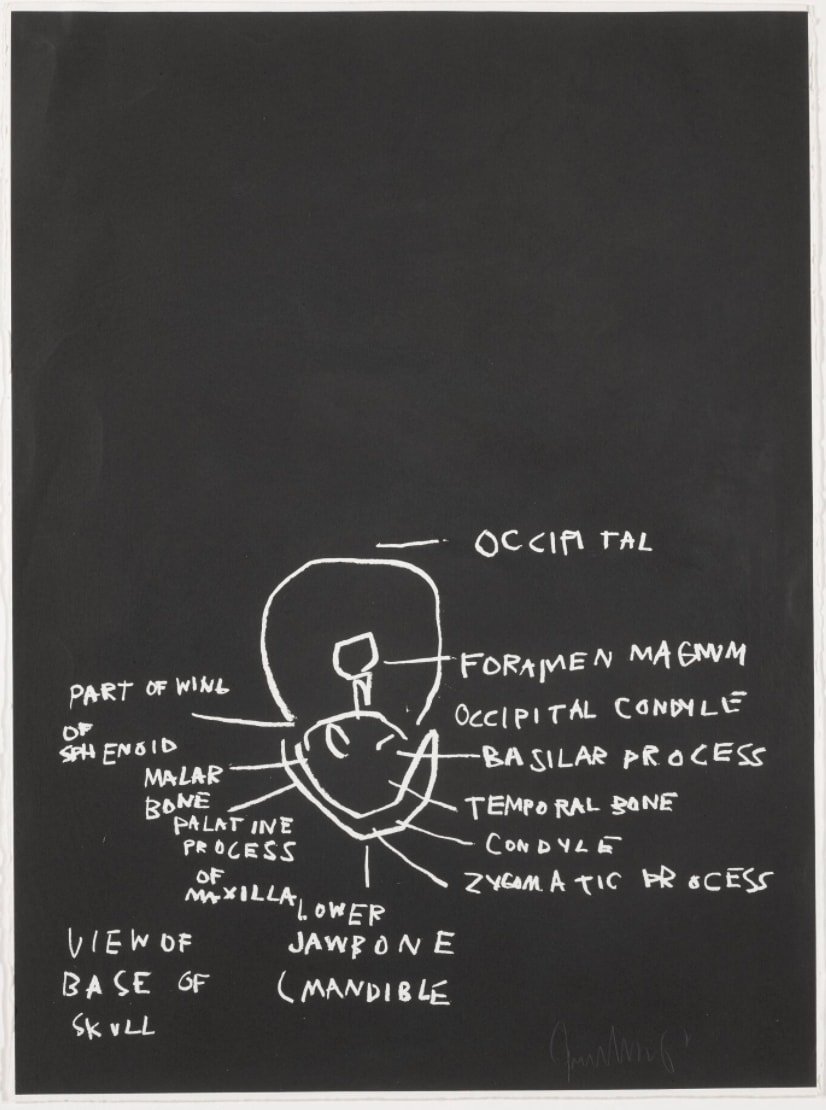 Jean-Michel Basquiat, View of Base of Skull, from Anatomy, 1982