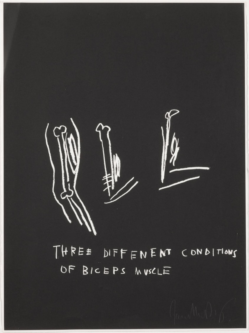 Jean-Michel Basquiat, Three Different Conditions of Biceps Muscle, from Anatomy, 1982