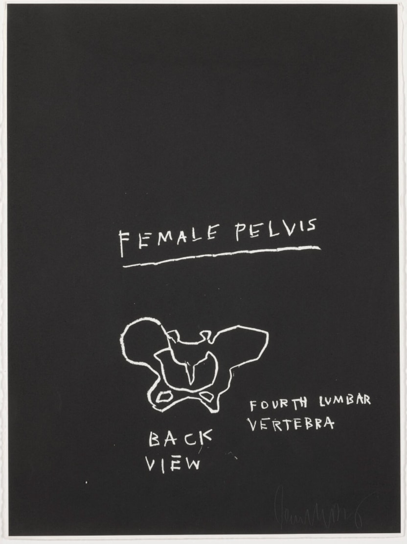 Jean-Michel Basquiat, Female Pelvis, Back View, from Anatomy, 1982