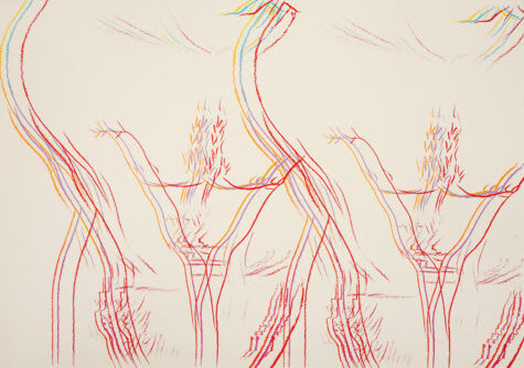 Andy Warhol, Torso (Double) F.S. IIIA 35 , 1982