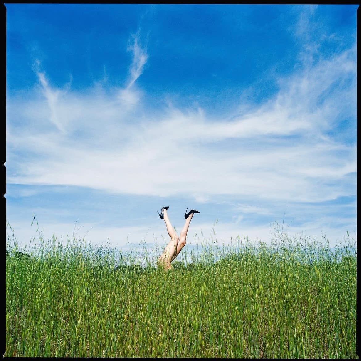 Tyler Shields, Legs in the Tall Grass, 2023