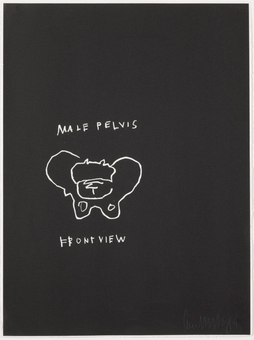 Jean-Michel Basquiat, Male Pelvis, Front View, from Anatomy, 1982