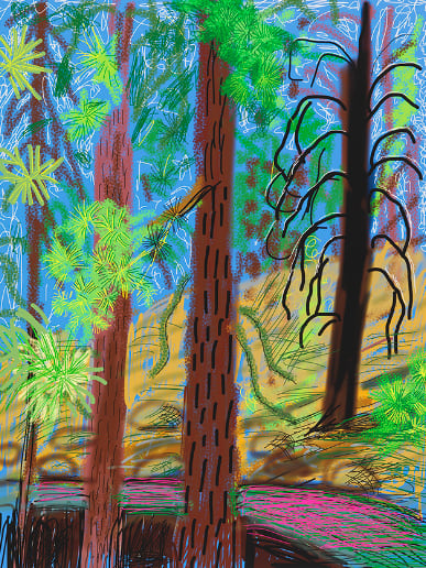 David Hockney, The Yosemite Suite No. 6, 2010
